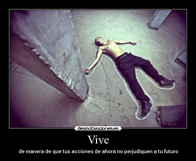 Vive -