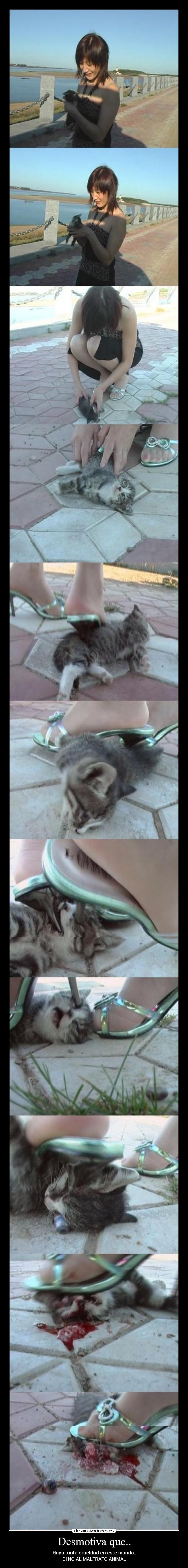 Desmotiva que.. - Haya tanta crueldad en este mundo..
DI NO AL MALTRATO ANIMAL