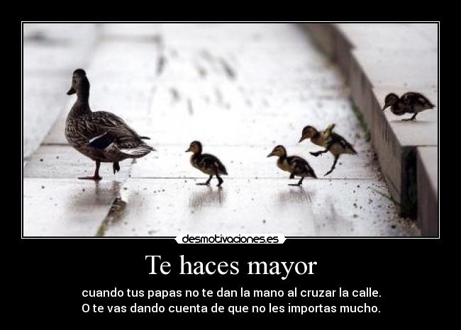 Te haces mayor - cuando tus papas no te dan la mano al cruzar la calle.
O te vas dando cuenta de que no les importas mucho.