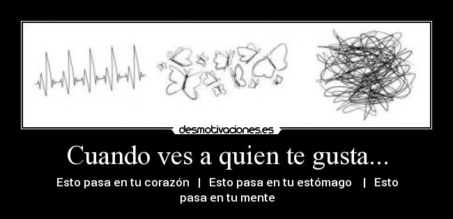 carteles amor sus efectos corazon estomago mente jajajajajaja desmotivaciones