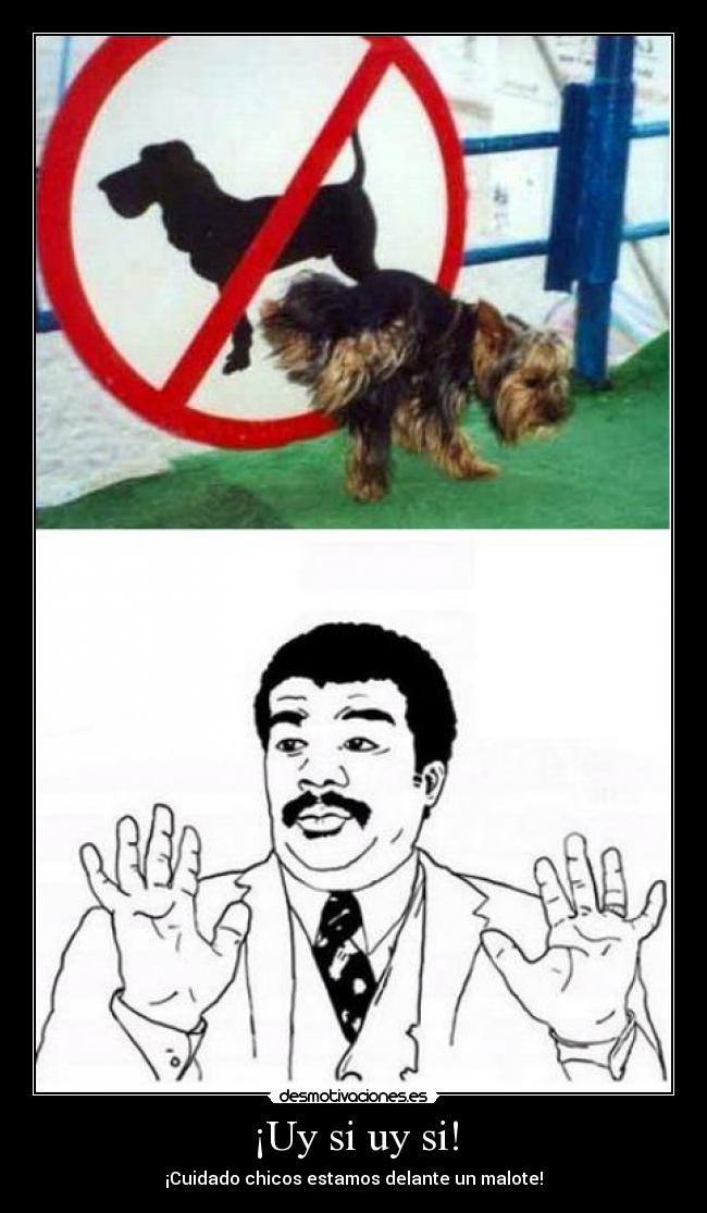 ¡Uy si uy si! - ¡Cuidado chicos estamos delante un malote!