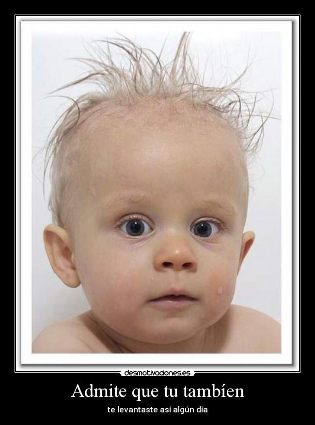 carteles pelos levantarse despeinado pelos locos xdd risa pelo desmotivaciones