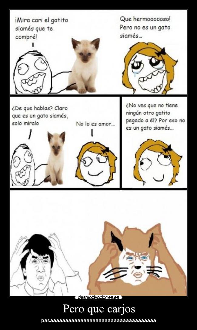 Pero que carjos - pasaaaaaaaaaaaaaaaaaaaaaaaaaaaaaaaaaaa