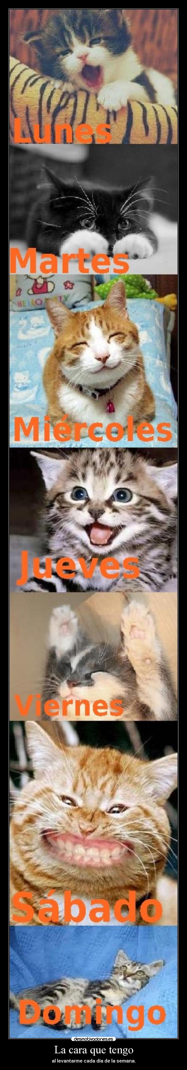 La cara que tengo - al levantarme cada día de la semana.