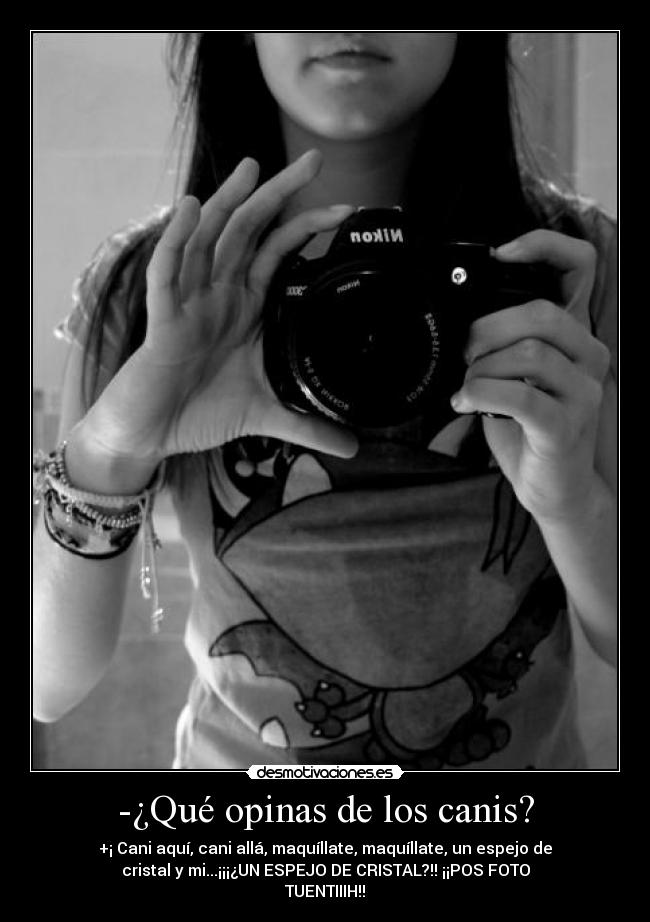 -¿Qué opinas de los canis? - +¡ Cani aquí, cani allá, maquíllate, maquíllate, un espejo de
cristal y mi...¡¡¡¿UN ESPEJO DE CRISTAL?!! ¡¡POS FOTO
TUENTIIIH!!