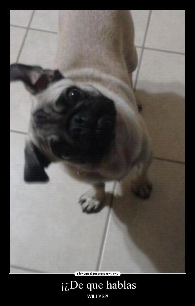 carteles que hablas willys desmotivaciones