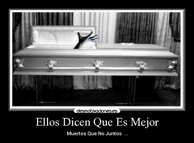 carteles ellos dicen que mjor desmotivaciones