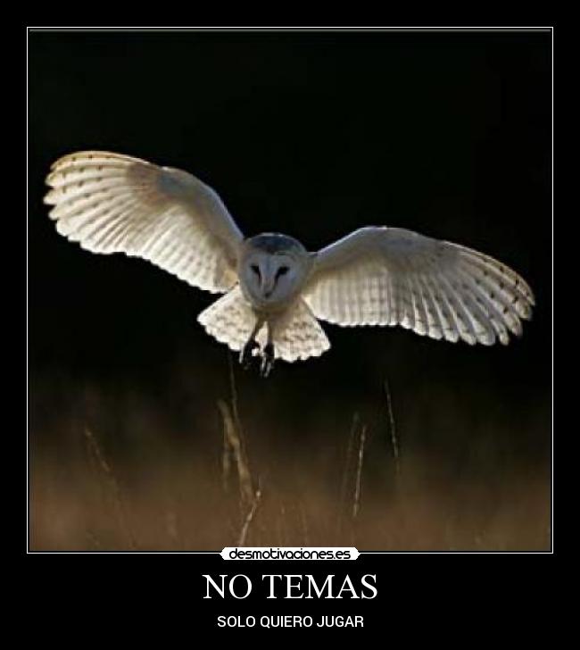 NO TEMAS - 