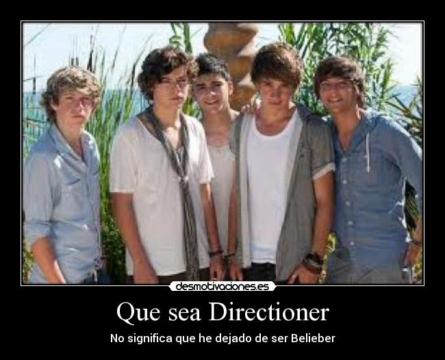 Que sea Directioner - 