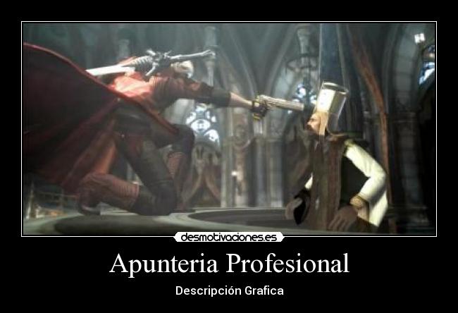 Apunteria Profesional - Descripción Grafica