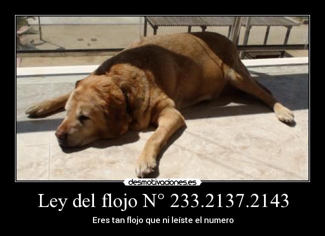Ley del flojo N° 233.2137.2143 - 