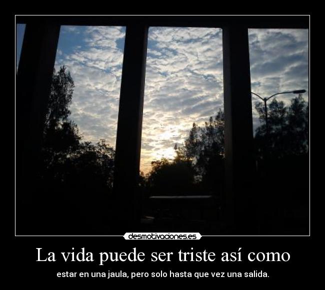 La vida puede ser triste así como - estar en una jaula, pero solo hasta que vez una salida.