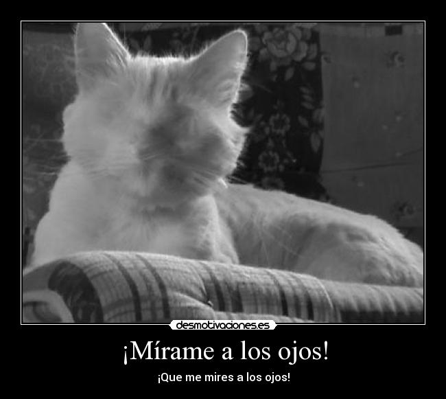 ¡Mírame a los ojos! - ¡Que me mires a los ojos!
