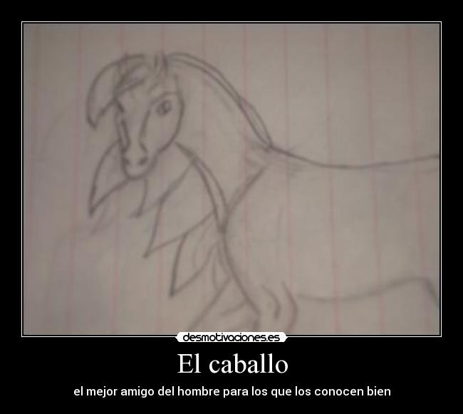 El caballo - el mejor amigo del hombre para los que los conocen bien
