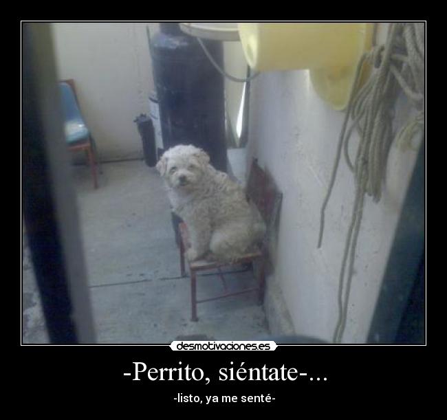 -Perrito, siéntate-... -