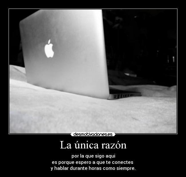 La única razón -