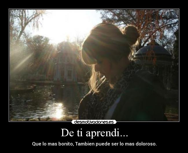 De ti aprendi... - Que lo mas bonito, Tambien puede ser lo mas doloroso.