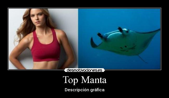 Top Manta -