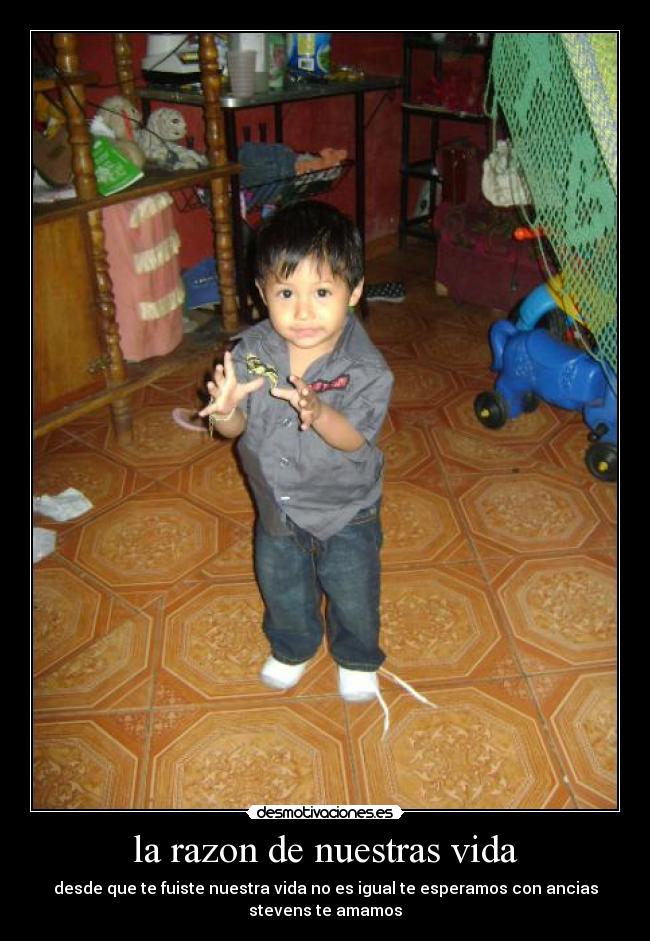 la razon de nuestras vida - desde que te fuiste nuestra vida no es igual te esperamos con ancias
stevens te amamos