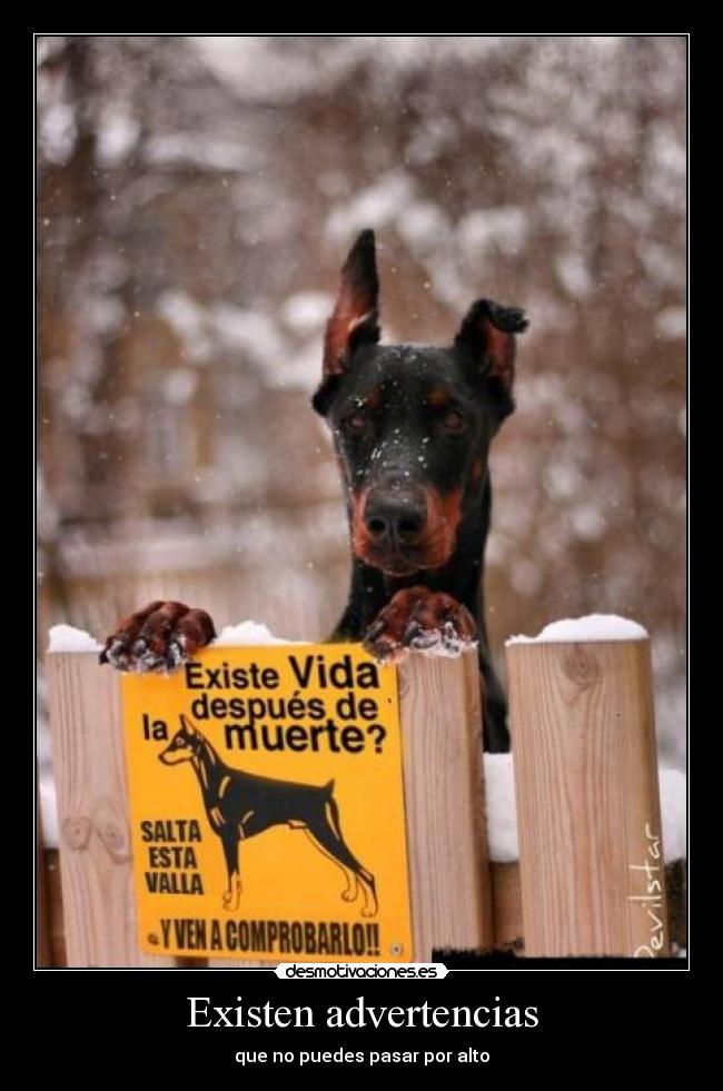 carteles advertencias perro desmotivaciones