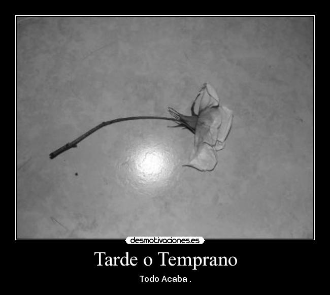 Tarde o Temprano -