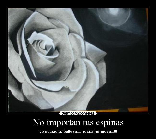 No importan tus espinas - yo escojo tu belleza....  rosita hermosa...!!!