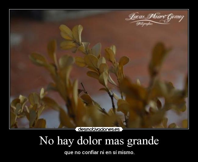 No hay dolor mas grande - que no confiar ni en sí mismo.