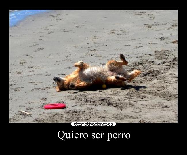 carteles las ardillas molan desmotivaciones