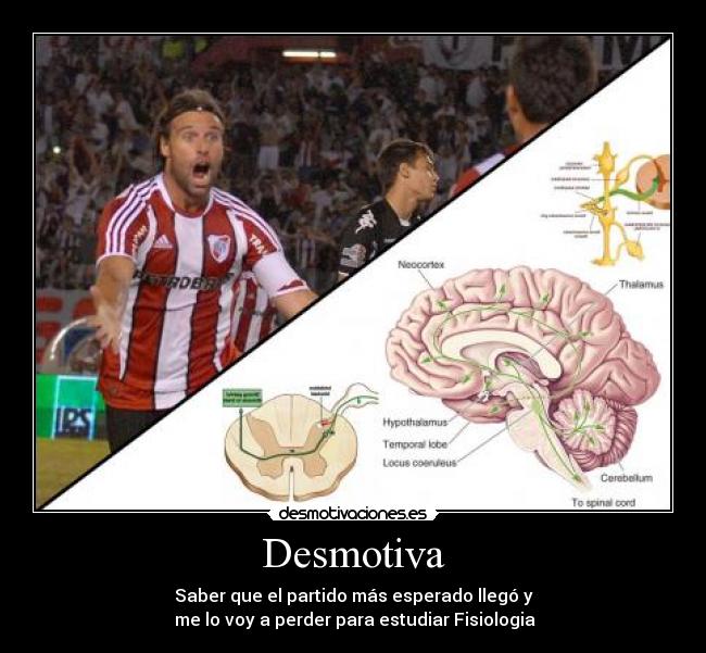 carteles river 2012 desmotivaciones