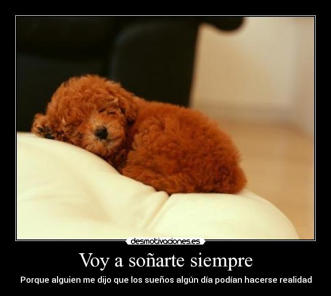 Voy a soñarte siempre -
