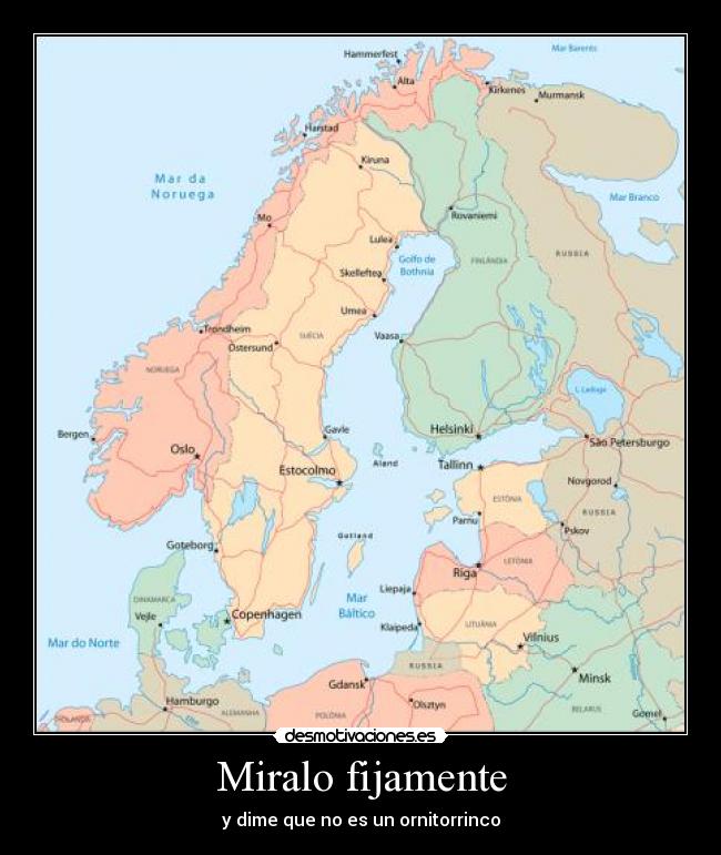 Miralo fijamente - y dime que no es un ornitorrinco