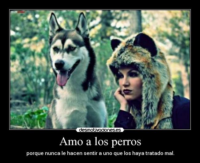 Amo a los perros - porque nunca le hacen sentir a uno que los haya tratado mal.