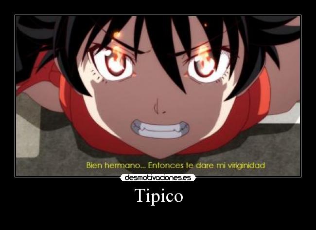 Tipico -