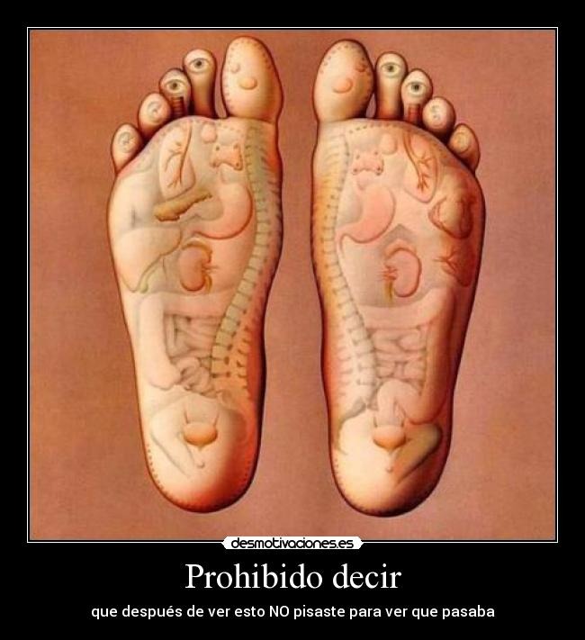 Prohibido decir - que después de ver esto NO pisaste para ver que pasaba