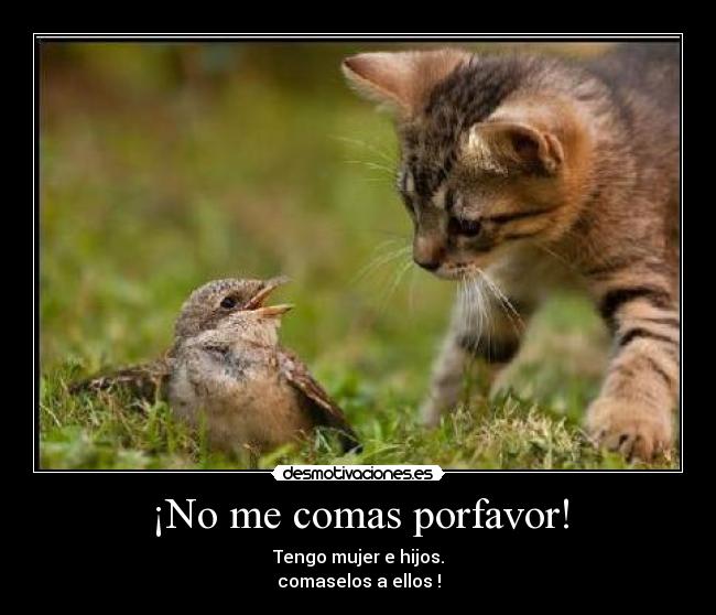 carteles comas desmotivaciones