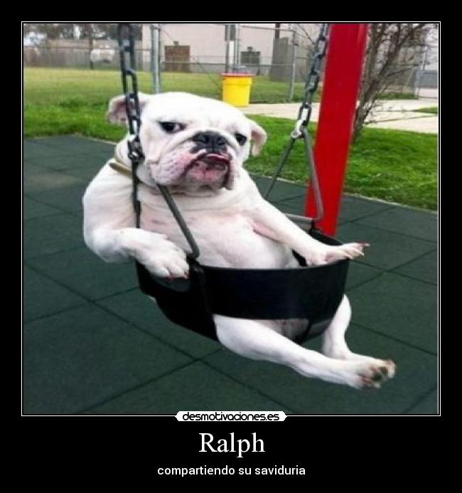 Ralph - compartiendo su saviduria