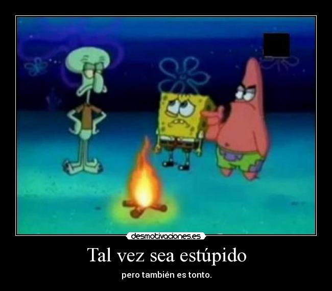 Tal vez sea estúpido - 