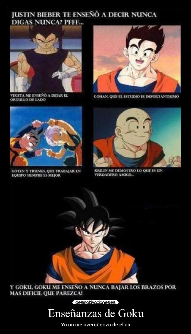 Enseñanzas de Goku -