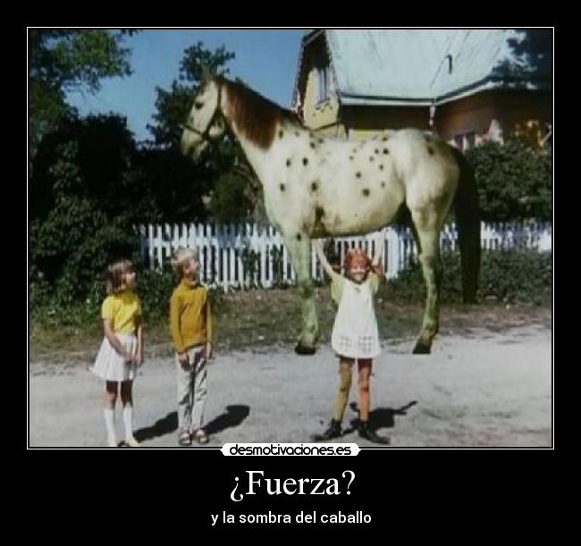 ¿Fuerza? - y la sombra del caballo