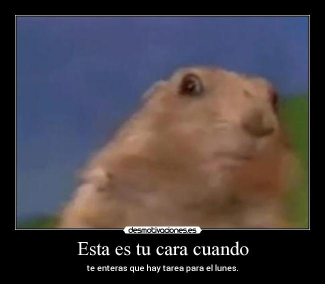 Esta es tu cara cuando - te enteras que hay tarea para el lunes.