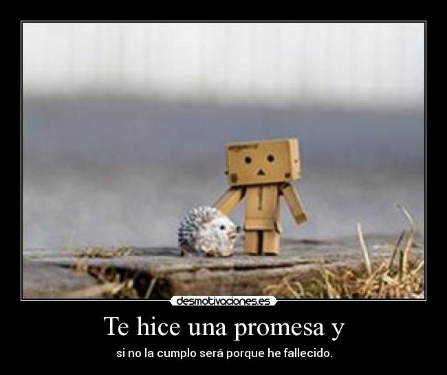 Te hice una promesa y -