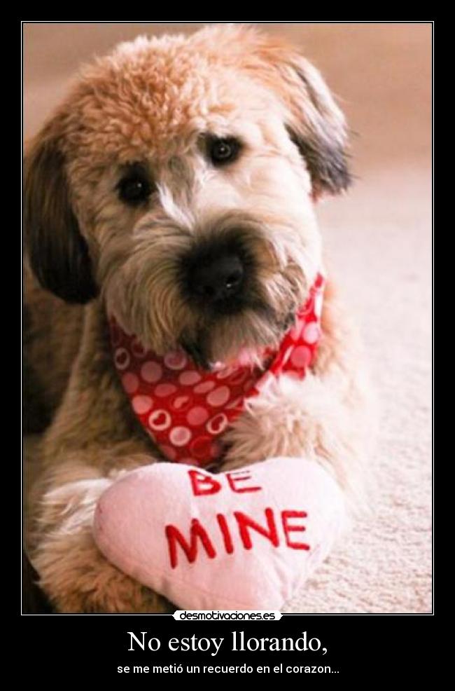 No estoy llorando, -