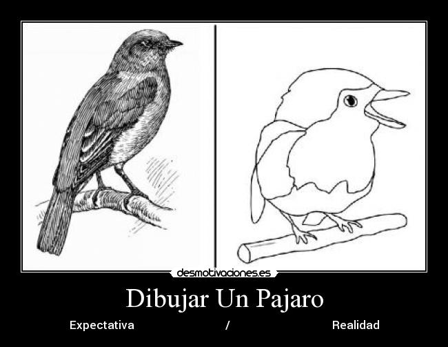 Dibujar Un Pajaro - Expectativa / Realidad