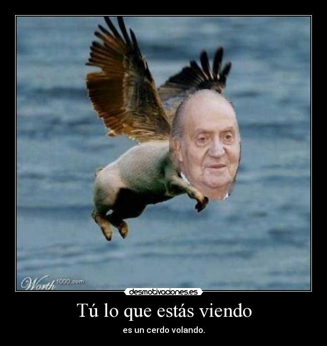 Tú lo que estás viendo -