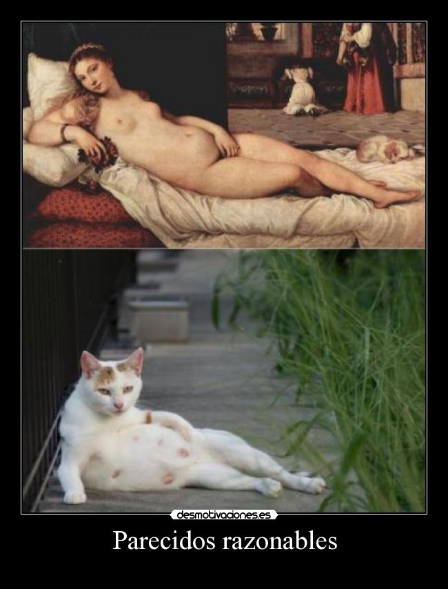 Parecidos razonables -