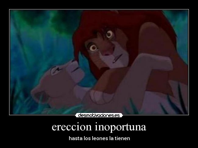 ereccion inoportuna - hasta los leones la tienen