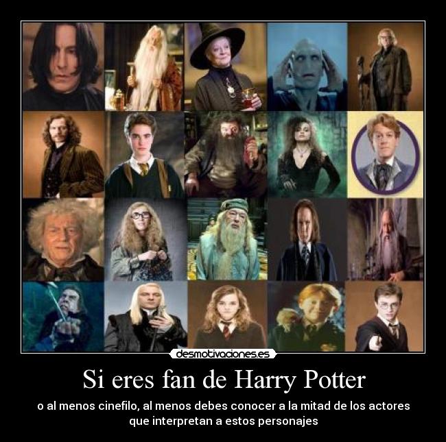 Si eres fan de Harry Potter -