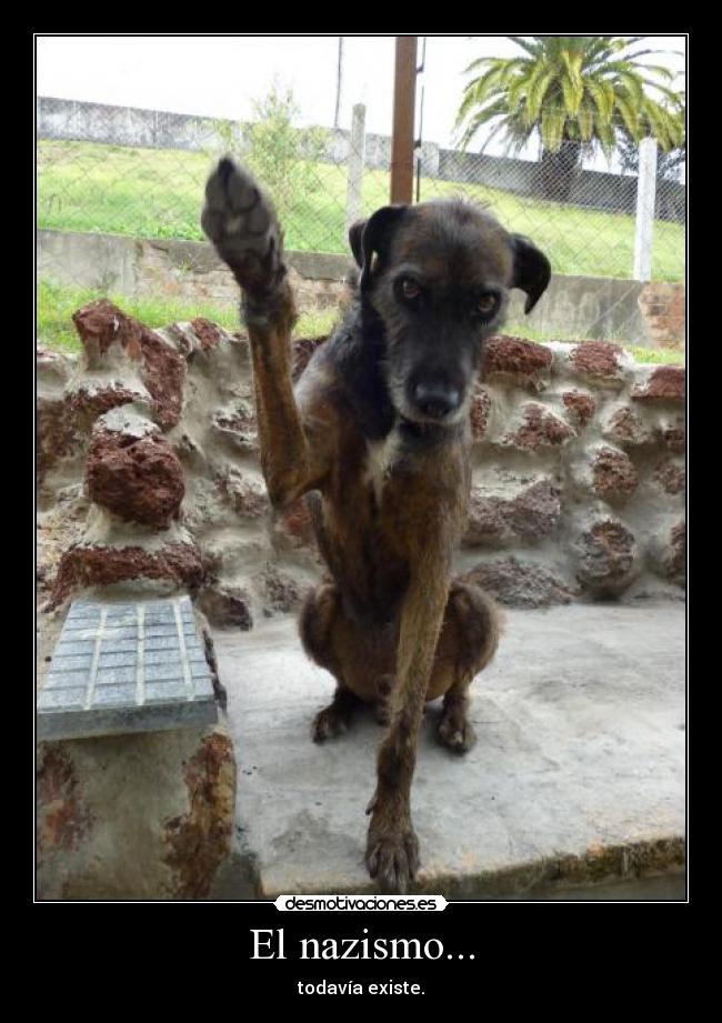 carteles jajaja desmotivaciones