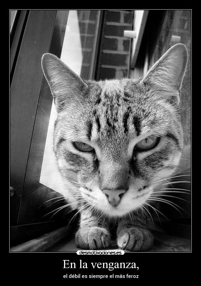 En la venganza, - el débil es siempre el más feroz