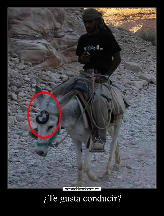 ¿Te gusta conducir? -